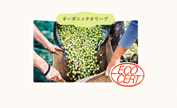 100%自然由来のジェル洗顔