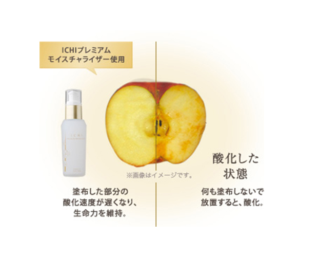 肌が老化する大きな原因の一つと言われているのが「酸化」。例えば、剥いたリンゴを放置しておくと茶色くなるのも「酸化」によるものです。そこで、酸化を抑える成分として国産有機米・SODを配合。ハリや透明感のある健康的な素肌へと導きます。