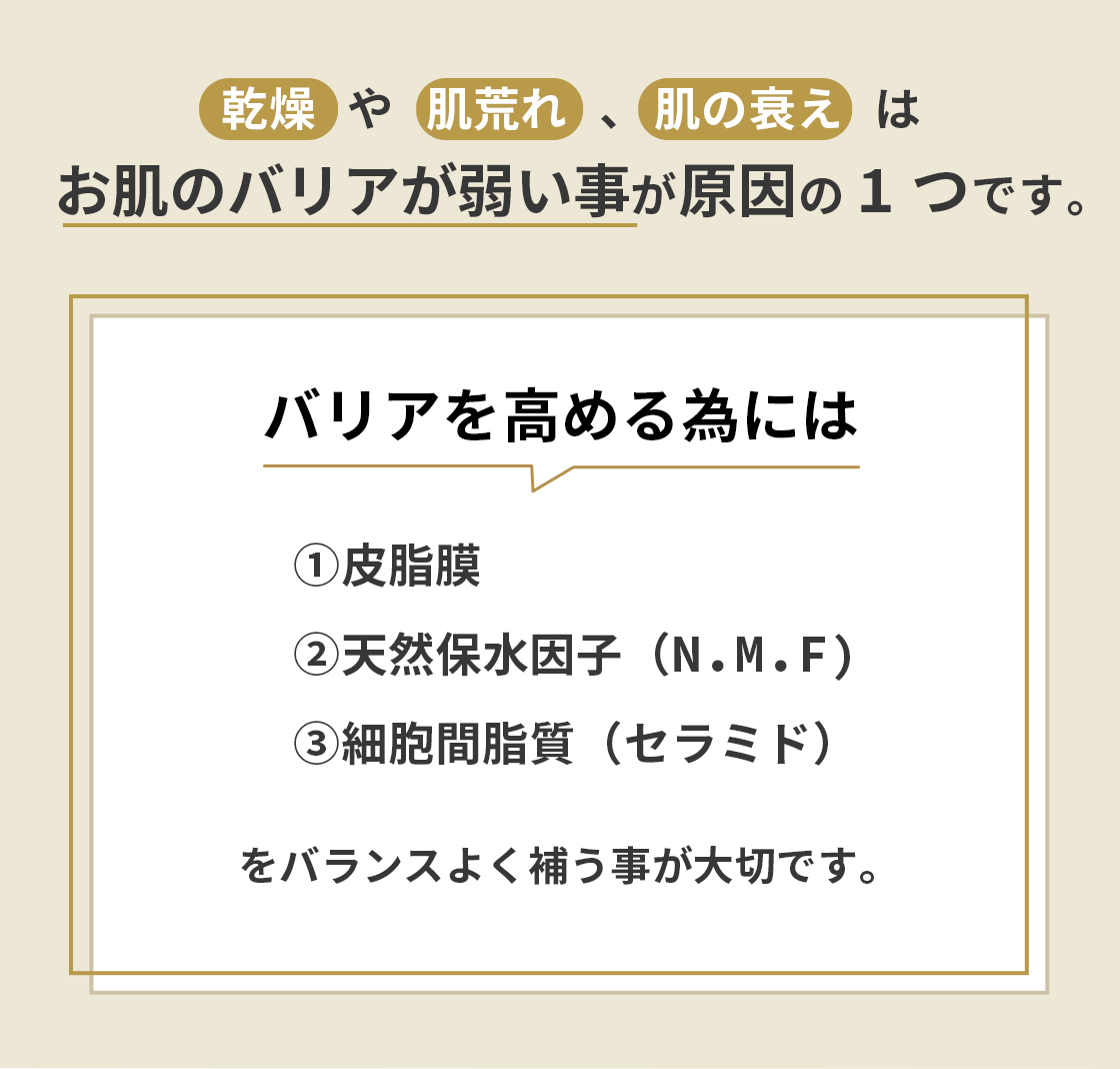 乾燥や肌荒れ、肌の衰えはお肌のバリアが弱い事が原因の1つです。バリアを高める為には、①皮脂膜②天然保水因子（N.M.F)③細胞間脂質（セラミド）をバランスよく補う事が大切です。