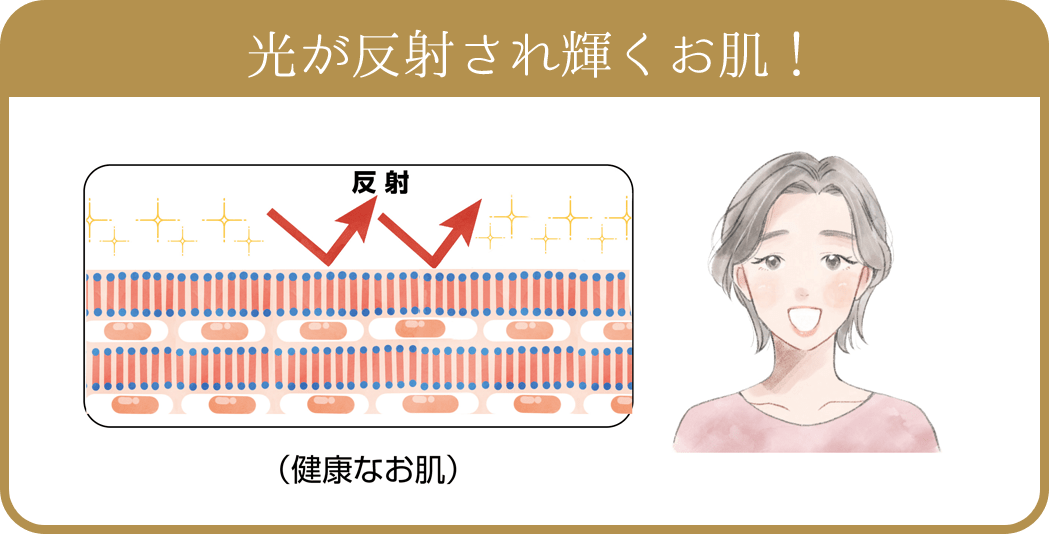 光が反射され輝くお肌！