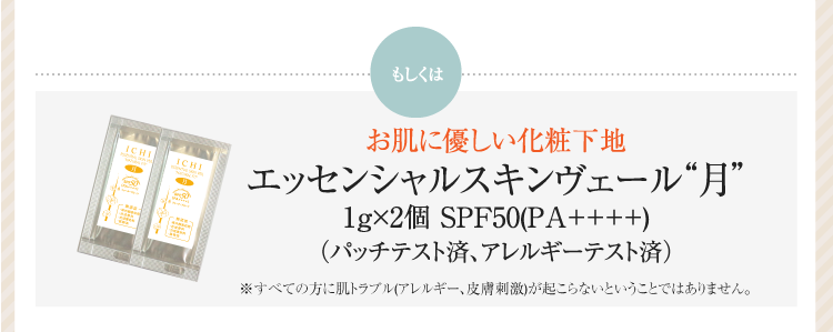 通常価格約3,300円相当のところメール便送料無料　1,980円