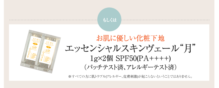 通常価格約3,300円相当のところメール便送料無料　1,980円